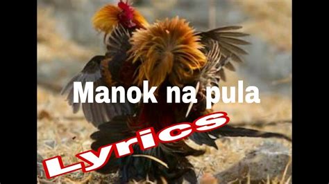 manok na pula lyrics|MANOK NA PULA (red chicken english version .